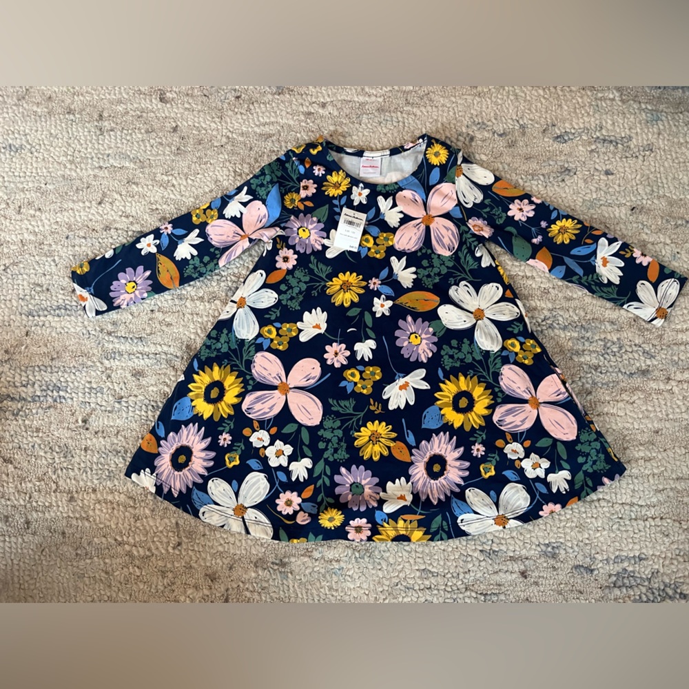 Hanna Andersson dress size 4
